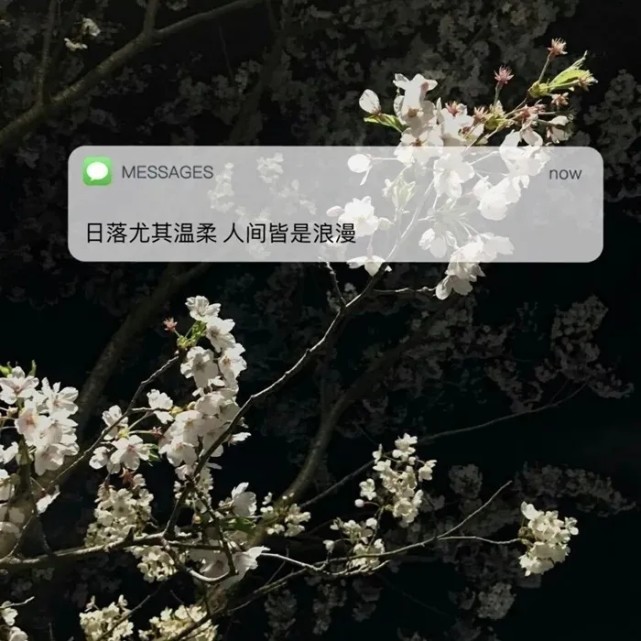 朋友圈背景图|您有一条未读消息|朋友圈|壁纸