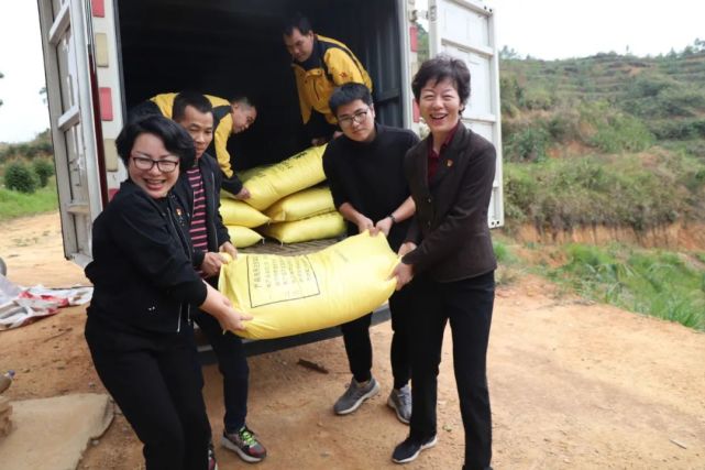 杨绍丽到桂平市木根镇上地村开展乡村振兴系列活动