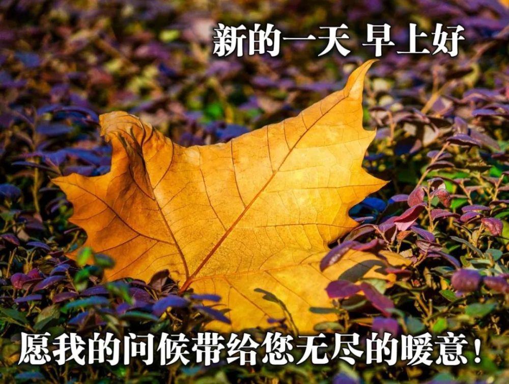 2021春天早上好图片,早上好图片动人 2021最新早安问候图片祝福 春天早上好祝福图片分享