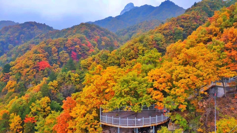 河南伏牛山有多牛?来过这8个地方,足可让你仰视中原!