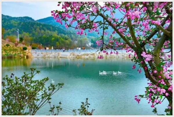 花开黄冈,最全"赏花景点"邀您打卡