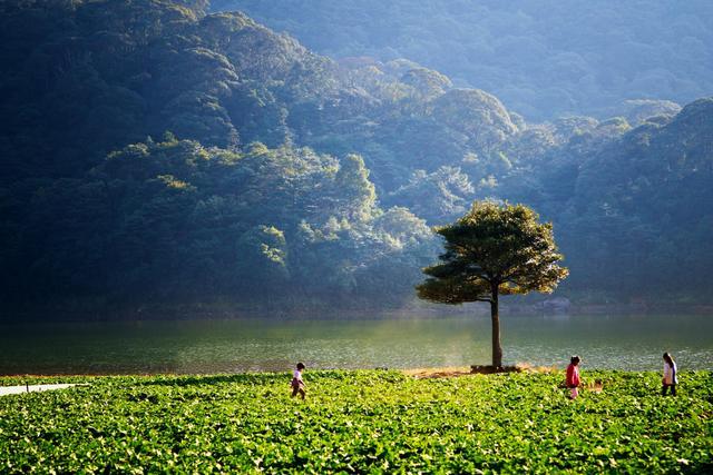 广东一景区走红一年四季皆是美景有着绿洲公园的称号