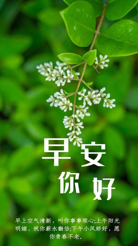 早安充满正能量励志与 阳光心态正能量的句子
