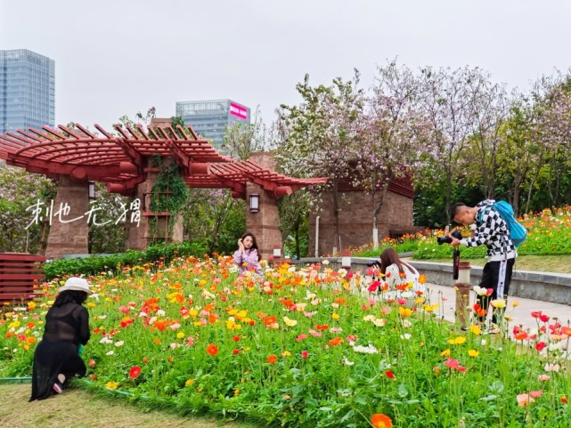 广州周边去踏春,千灯湖景区内邂逅浪漫花海,广佛地铁