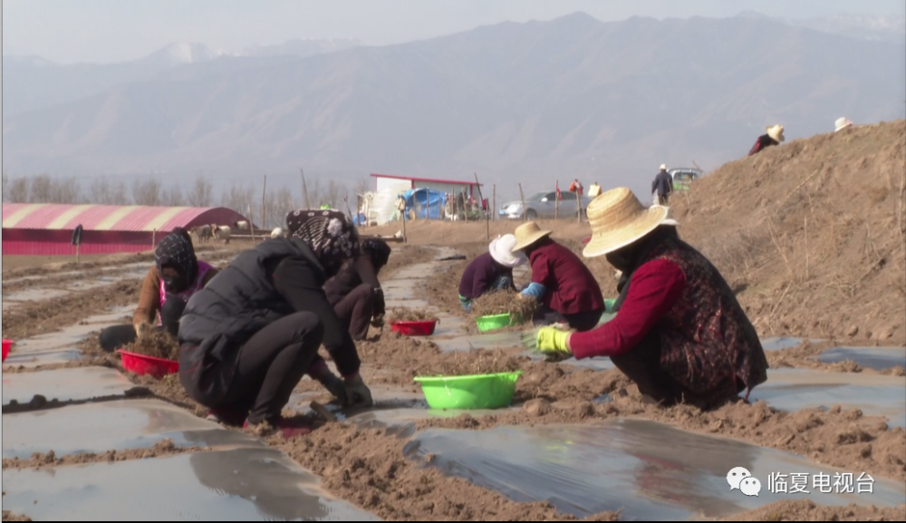 和静县有多少人口 间百科百度_百度识图在线识图(2)