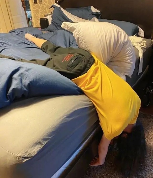 姿势怪异,单腿站着睡