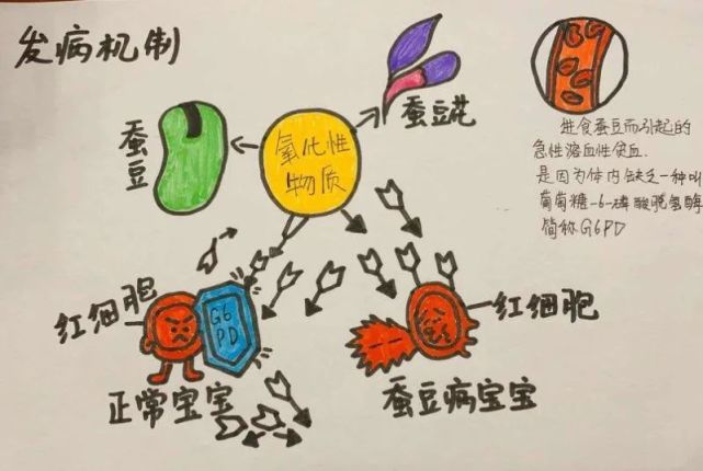 图源：网络