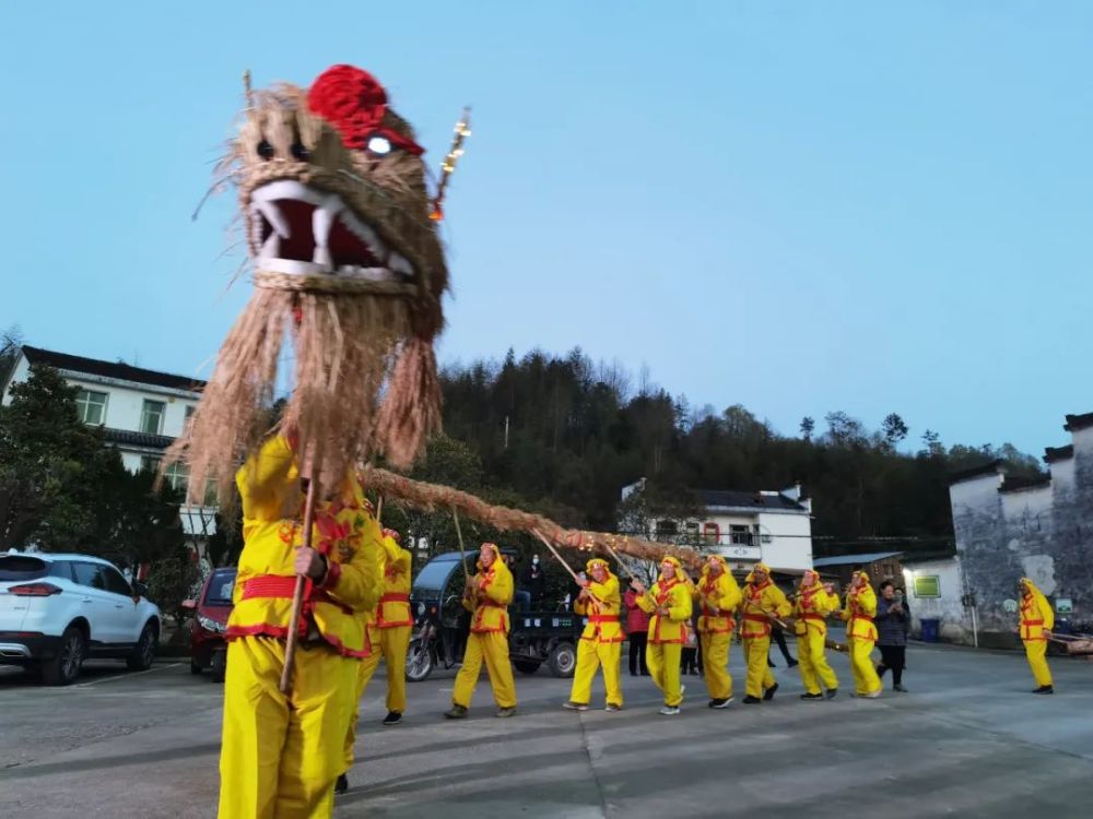 舞草龙|徽州区三百多年历史的"稻草龙"舞动起来