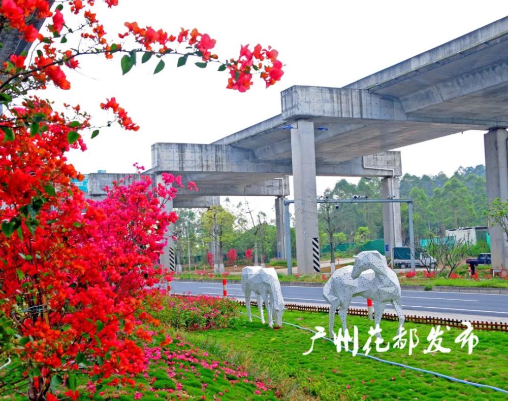 颜值飙升!花都狮岭高架桥底,花山北立交景观美化