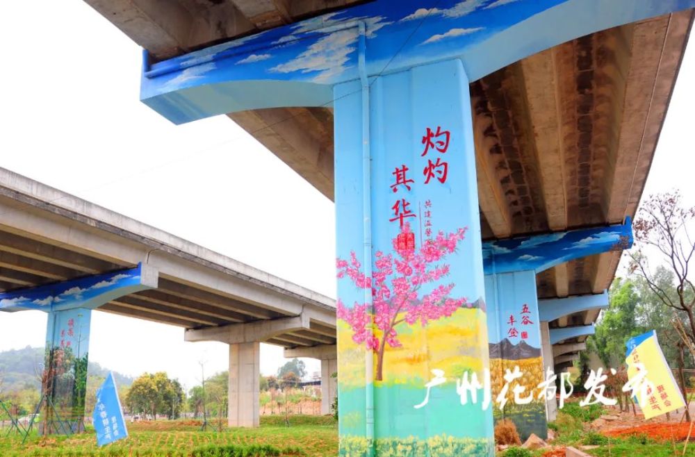 颜值飙升花都狮岭高架桥底花山北立交景观美化