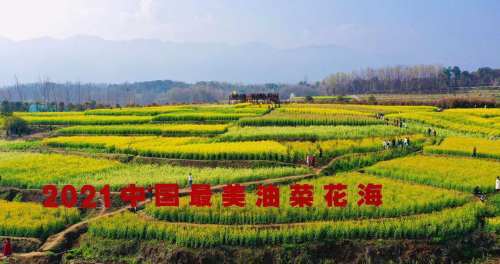 2021中国最美油菜花海汉中旅游文化节在西乡县启动