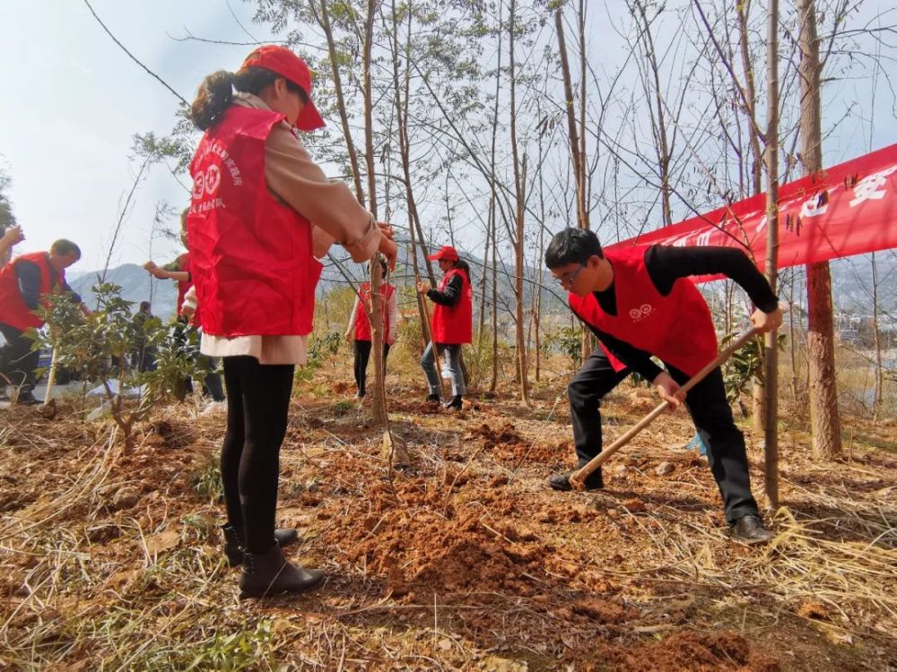 共同在夔州街道大槽社区开展植树节主题团日活动,共计60余名志愿者