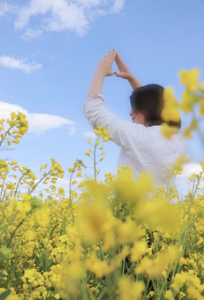 丽江油菜花盛开,这样拍才能霸屏朋友圈!