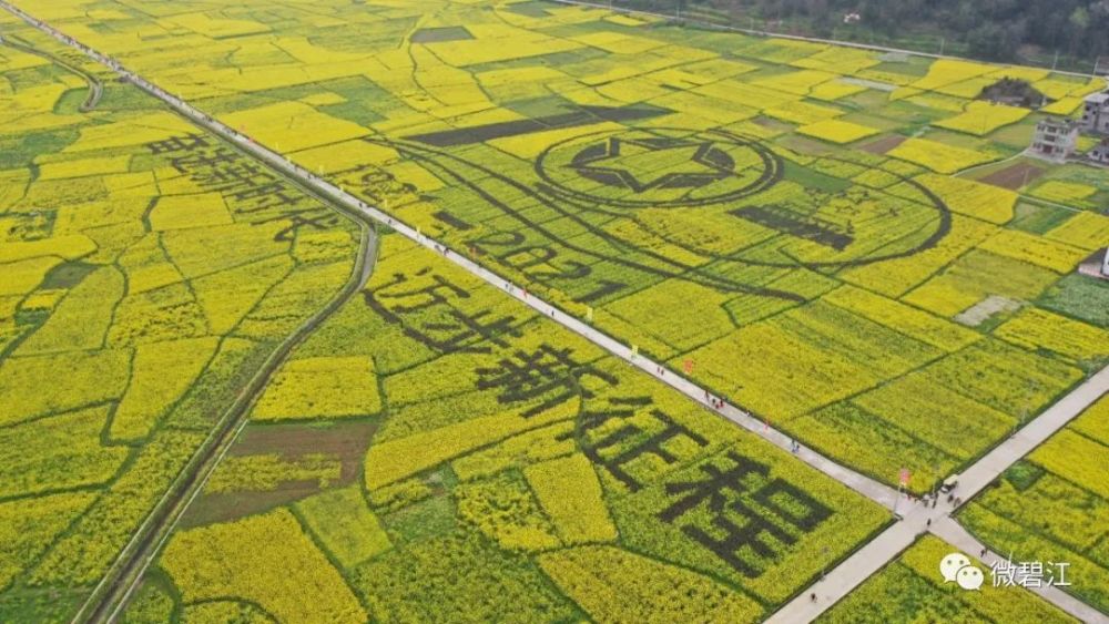 2021年碧江区第五届油菜花观光月暨山地旅游节开幕