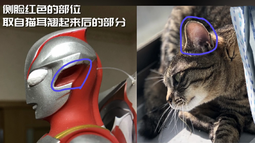 猫奴能痴迷到什么地步罗小黑用猫做主角梦比优斯奥特曼原型就是猫