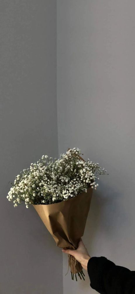 【朋友圈】鲜花花花朋友圈背景图