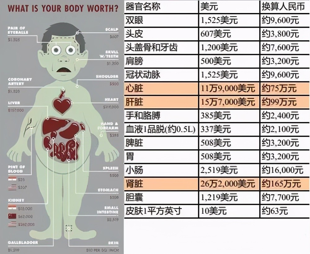 一个心脏12万美元,一张头皮600多美元,罪恶的人体器官买卖