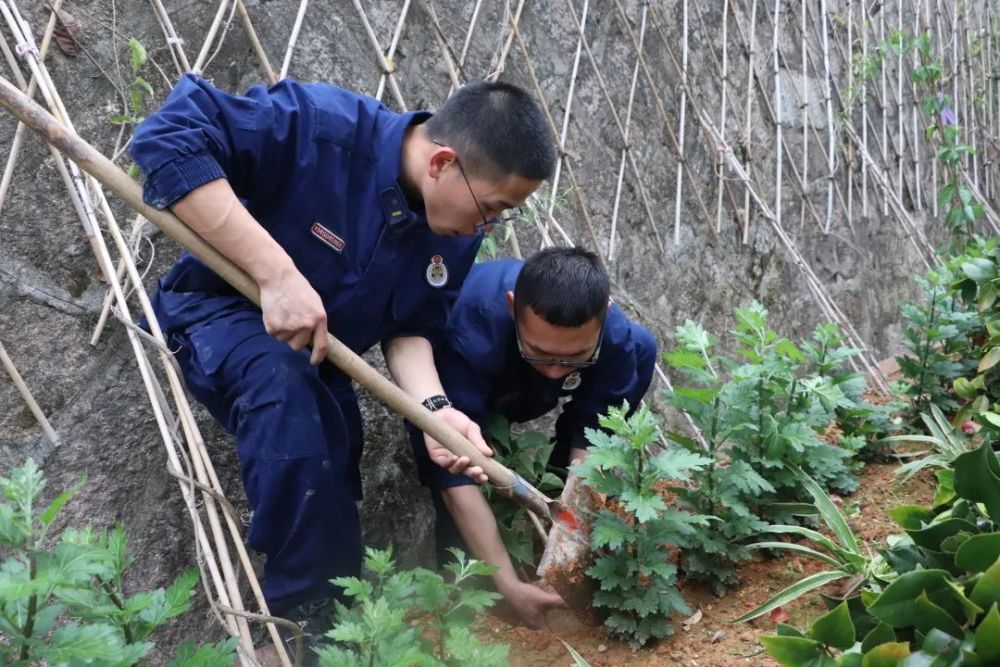 电子琴简谱歌谱大全(3)