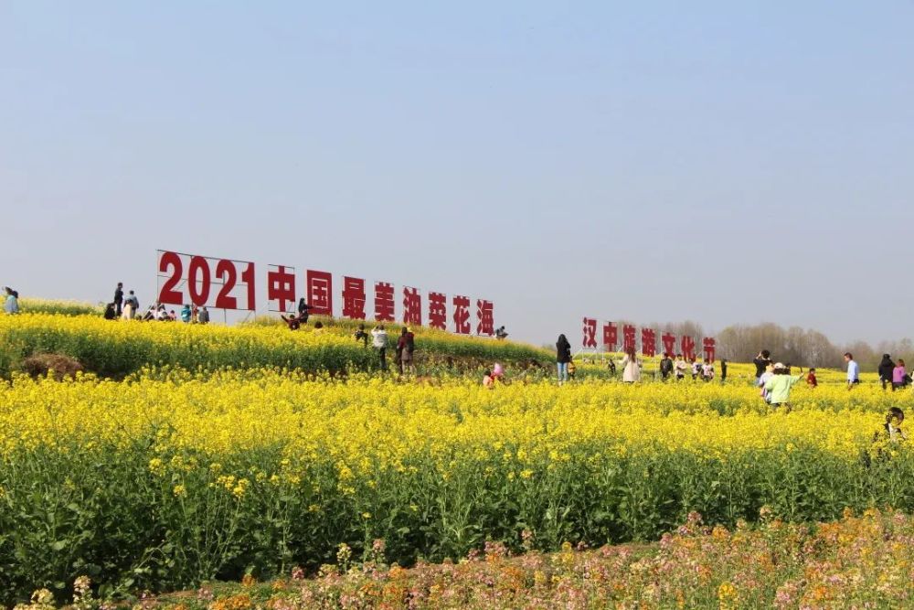 西乡交警全力确保2021汉中油菜花节在西乡主会场顺利启动