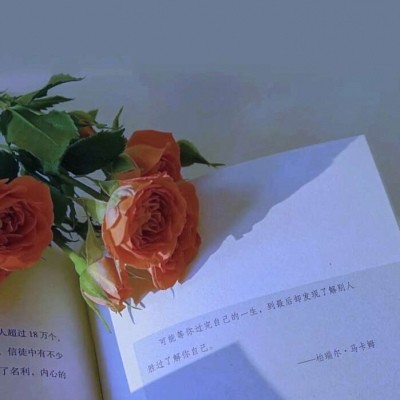 发朋友圈的高级感唯美说说 不爱孤单久也习