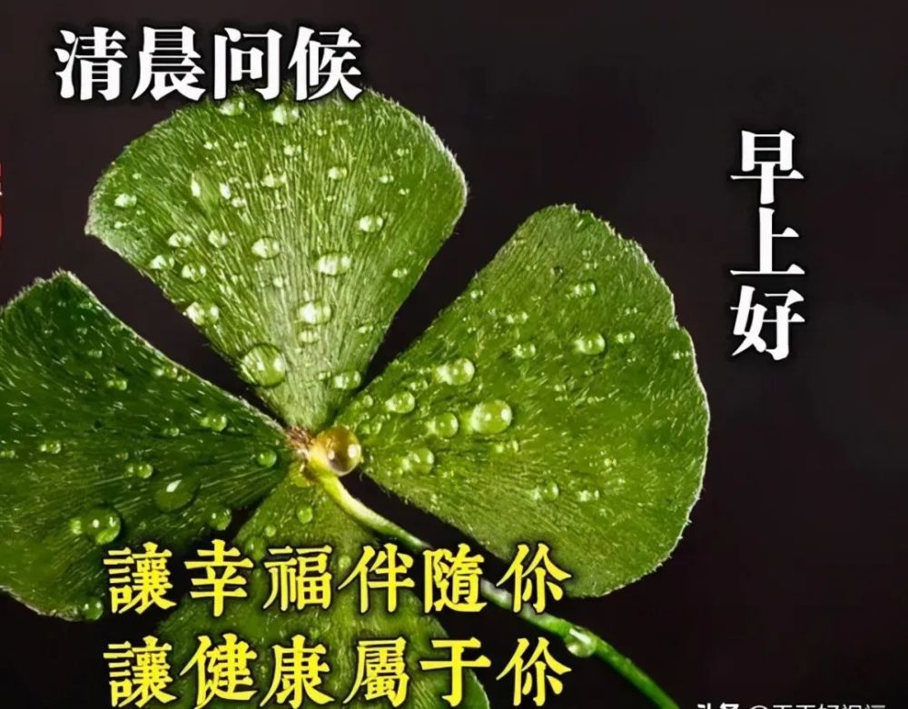 二月二龙抬头 轻轻地祝福送上一天的问候:早安,愿你一天好心情