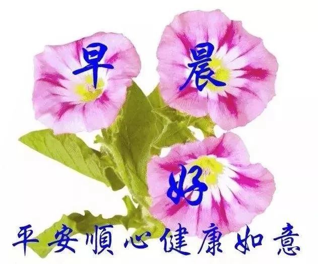 早上好,愿你永远健康,快乐,幸福,吉祥!早安