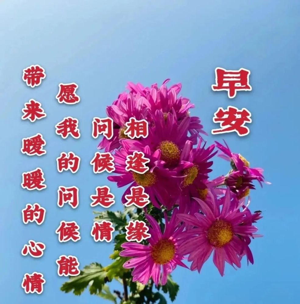 3月14日周日早安问候语,祝大家天天都有好心情!