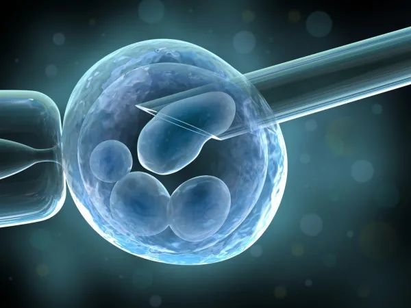 但如果胚胎发育欠佳就选择移植两枚胚胎.