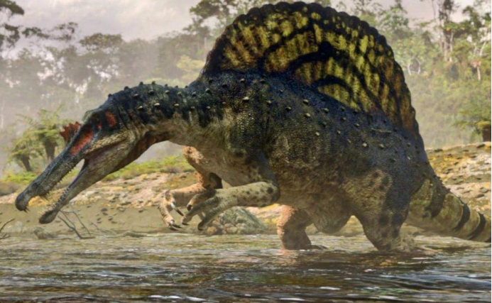 恐龙的排名_恐龙简笔画