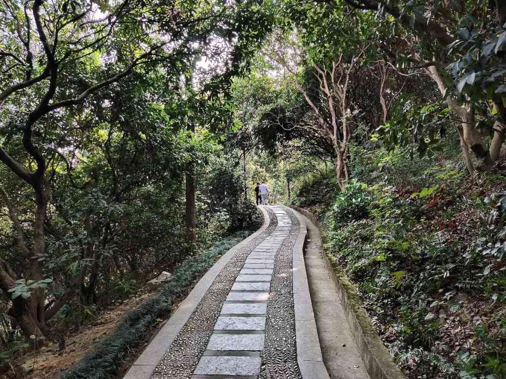 工作之余,休闲好去处!-西丽石鼓山公园.