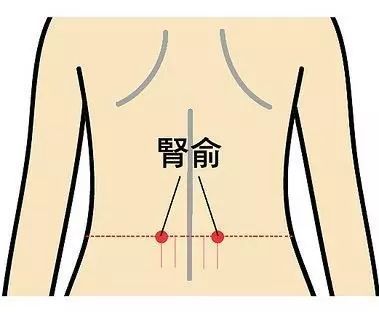 肾俞的准确位置图肾俞穴的功效与作用