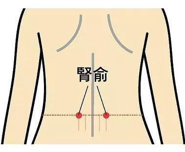 肾俞的准确位置图,肾俞穴的功效与作用