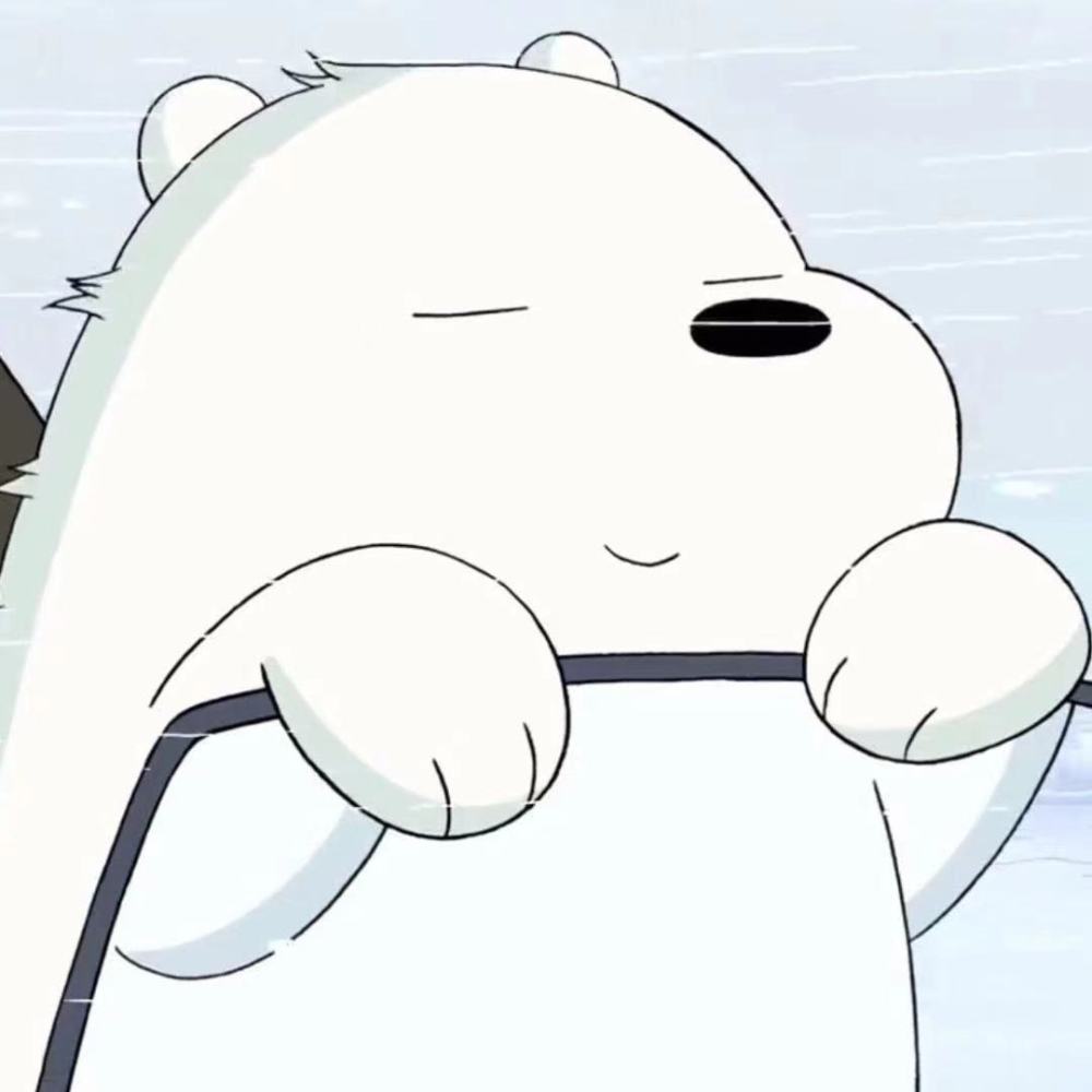 今日份分享|可爱白熊