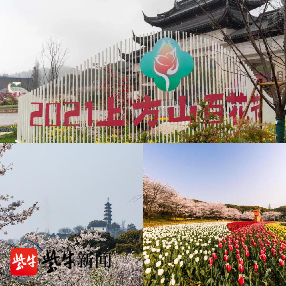 顾剑钧)3月12日,将持续至5月5日的2021年苏州上方山百花节正式启幕