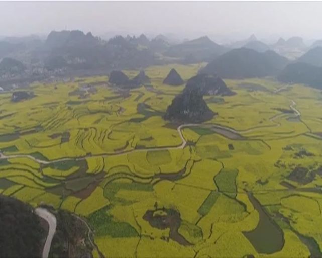 六枝特区木岗镇抵簸村:追花逐蜜的赶蜂人