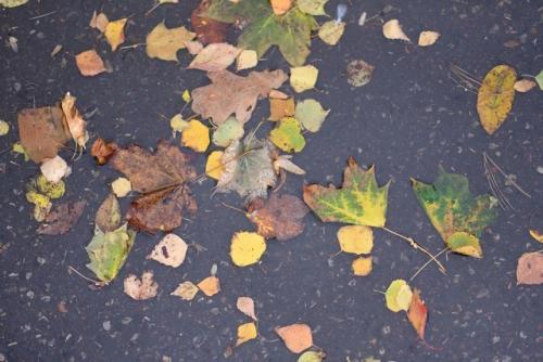 适合下雨天发正能量的朋友圈 微信下雨天朋友圈