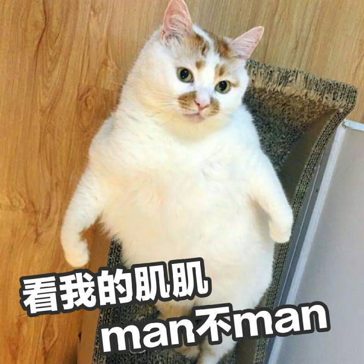 萌宠表情包:看我的肌肌,man不man?