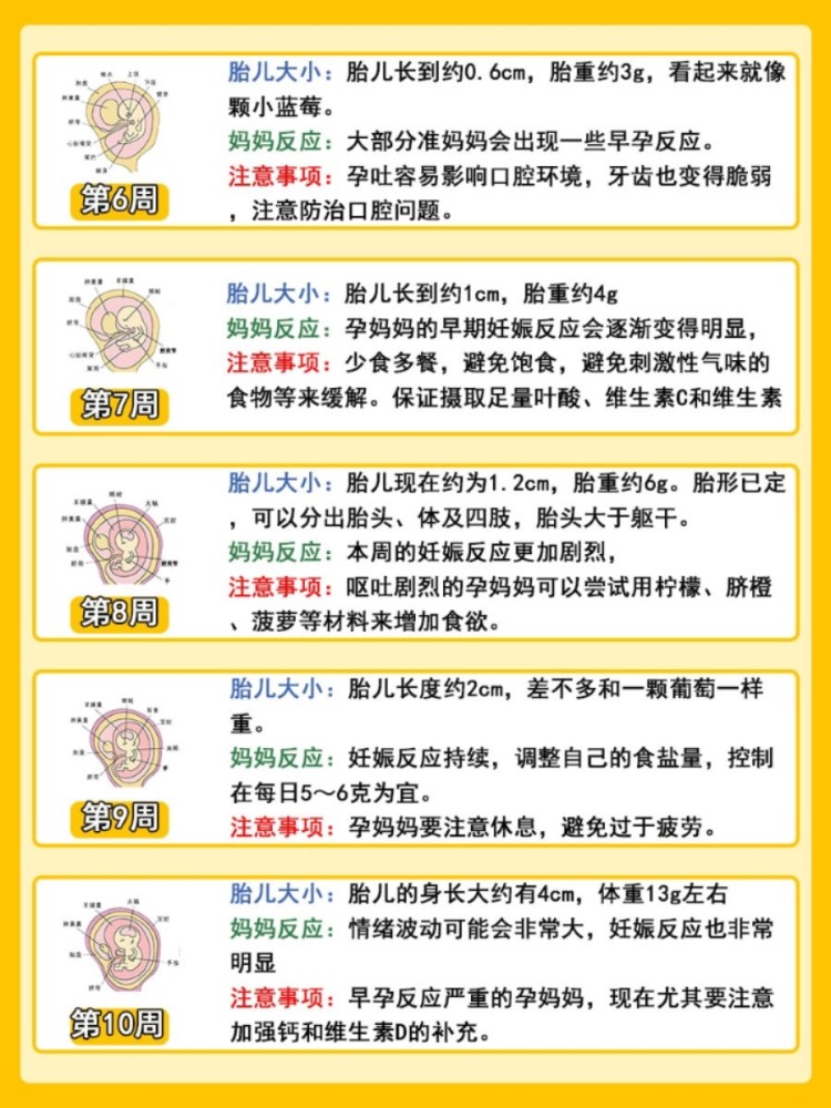 1-40周宝宝发育全图,新手妈妈快了解起来!