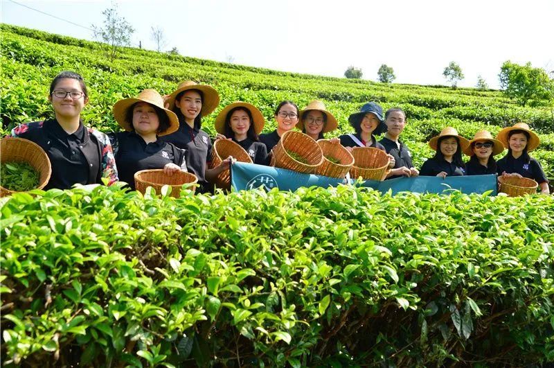 中华普洱茶博览苑—体验采茶,制茶,品茶等乐趣,吃茶餐,住茶山精品
