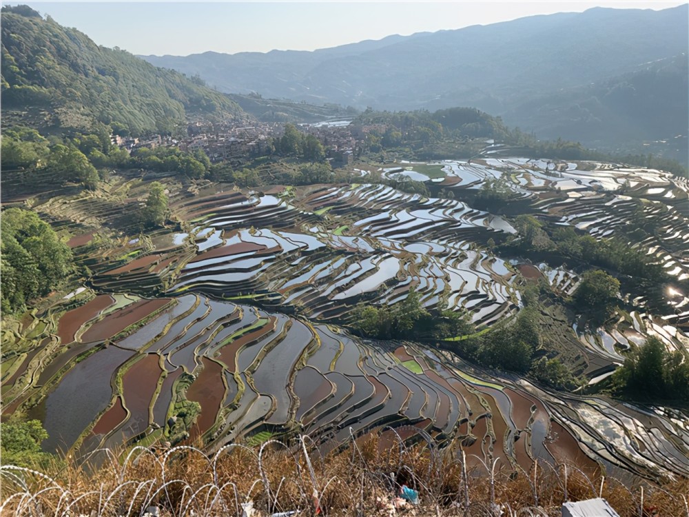 元阳老鹰嘴梯田