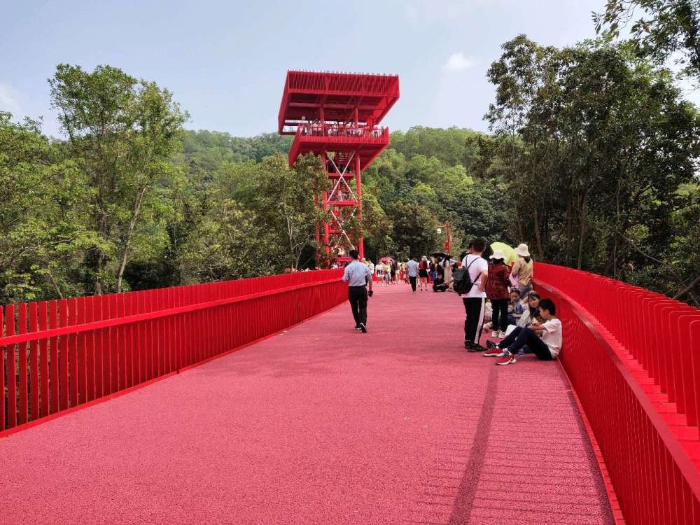 2020深圳最火的网红桥,2021再次体验全程-光明虹桥.
