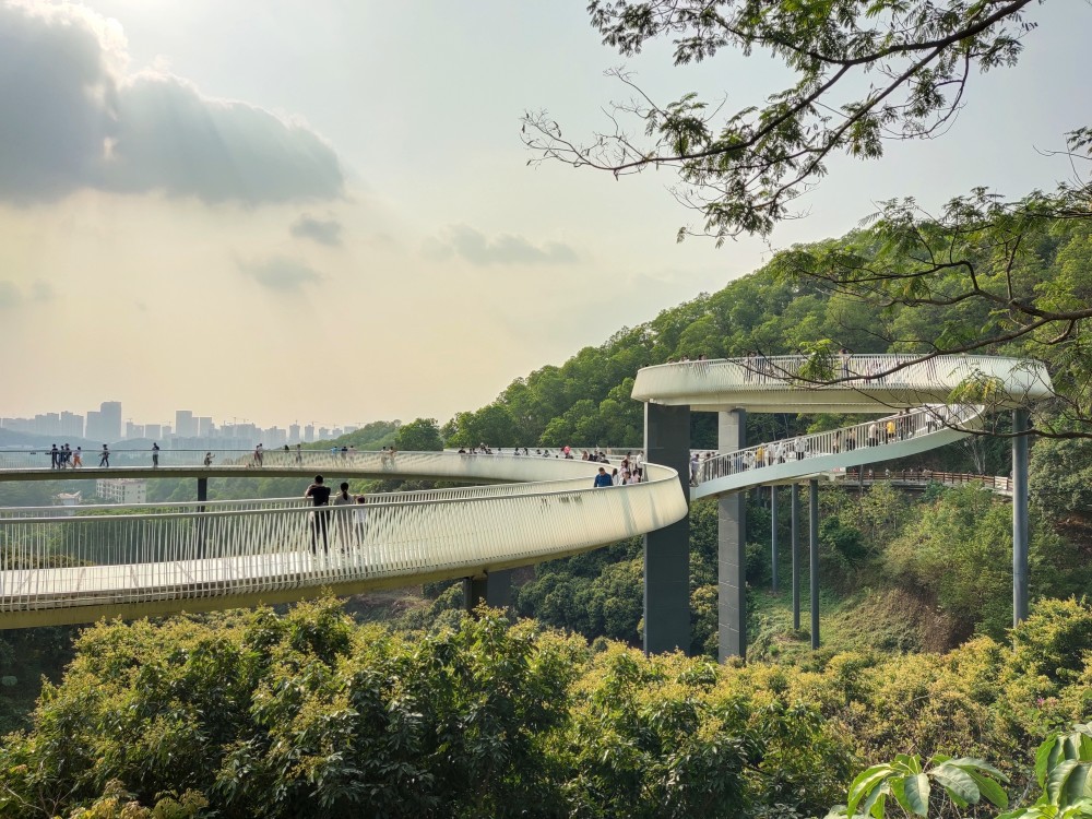 厦门网红拍照圣地深圳天气的简单介绍