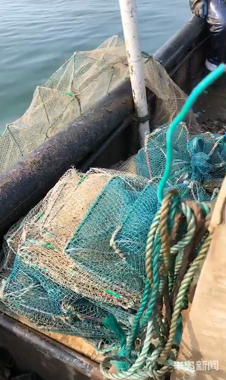 下地笼就行了?海星很狡猾,没那么简单!"克星"还得讲"战术"