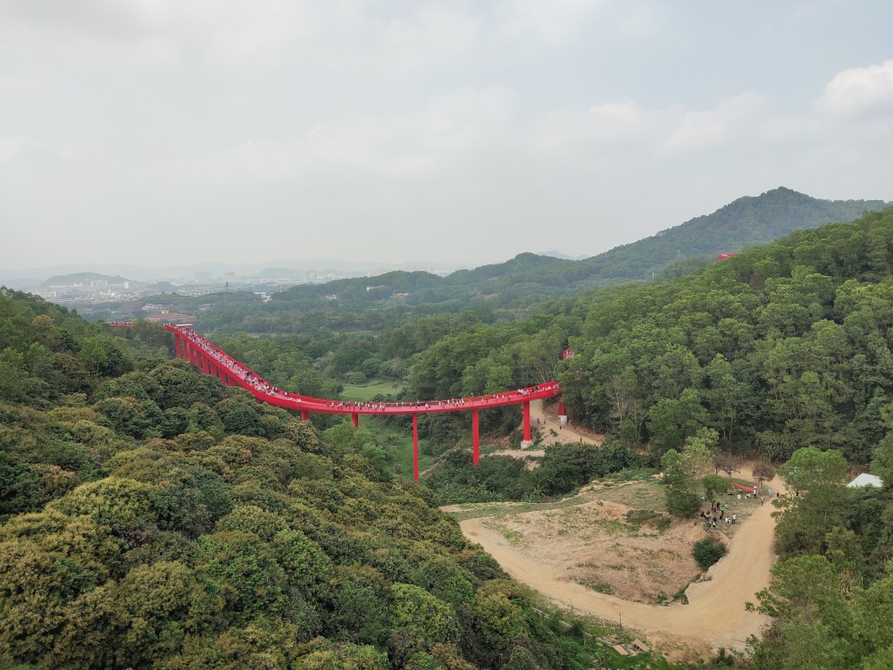 深圳继玻璃桥之后,又一挑战心跳的地方-光明悬桥.