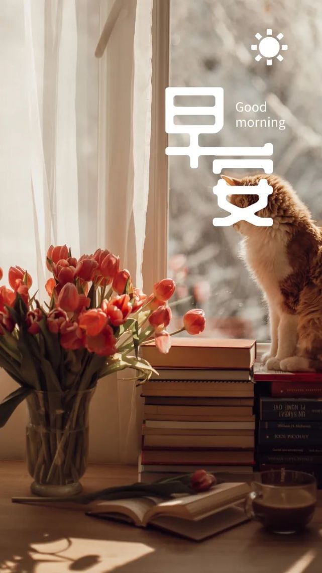 早上好图片语录正能量