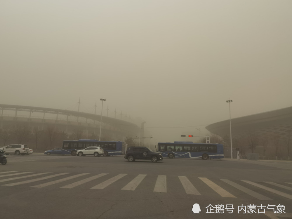 今天呼和浩特市出现沙尘天气.(图:王媛媛)