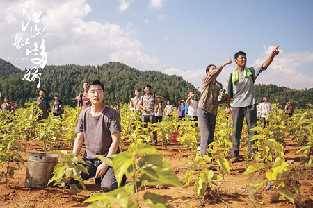 电视剧江山如此多娇热播