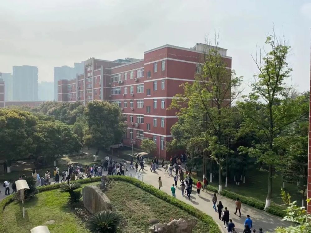 成都理工大学,西南财经大学,成都大学因疫情延期的原2020年下半年的省