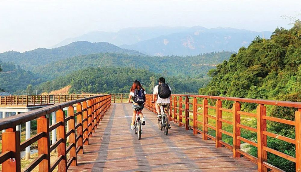 东江沿江绿道(惠城区江北往汝湖方向,途中穿过一片竹林.