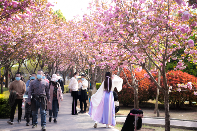 绿博园“问花节”将于3月27日盛大开幕